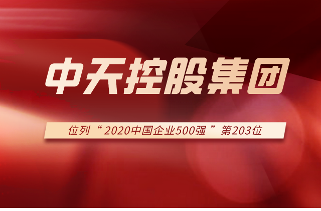 尊龙时凯控股集团列2020中国企业500强第203位！